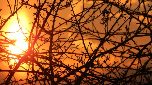 Laranja Sol Tranquilidade Outono — Fotografia de Stock