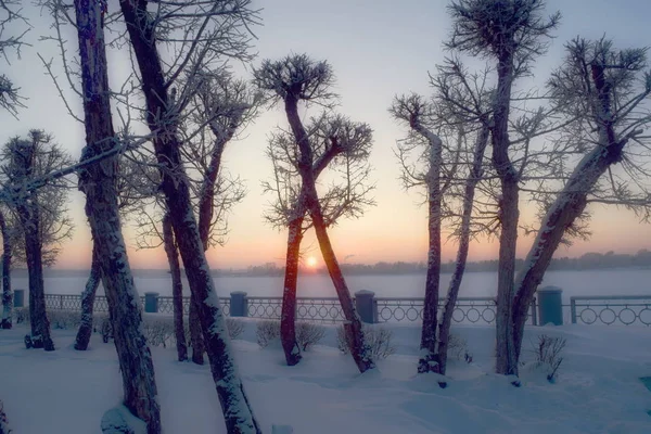 Zimowy Wieczór Parku Miejskim — Zdjęcie stockowe