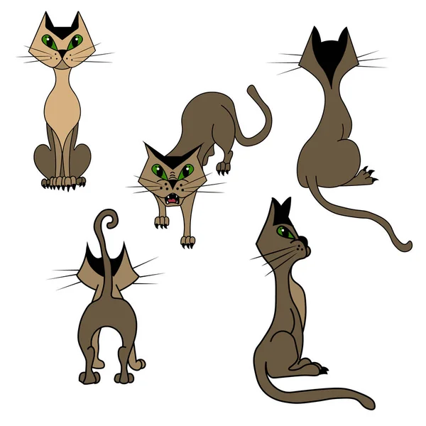 Conjunto Vetorial Imagens Desenhos Animadosde Gato Cinza Diferentes Poses Desenho —  Vetores de Stock