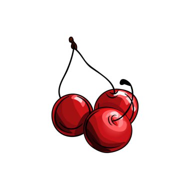 kiraz vektör illüstrasyon. Beyaz bir arka plan üzerinde izole edilmiş üç kiraz. Beyaz arka plan üzerinde el çizilmiş kiraz. Kiraz meyve kroki, taze çiftlik meyve suyu için yeşil yaprak berry ile kiraz demet yetiştirilen 