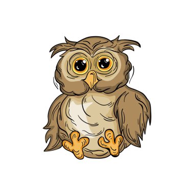 Sevimli çizgi film baykuşu. Kuş bilgisi. T-shirt baskı tasarımı, kitap, tebrik kartı için el çizilmiş illüstrasyon. Çocuk karakteri. Parlak renklerde dekore şok Baykuş Komik baykuş.