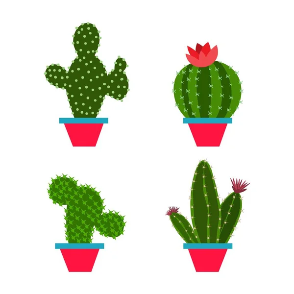 Uppsättning Kaktus Platt Stil Vit Bakgrund Hem Växter Kaktus Krukor — Stock vektor