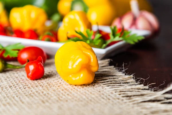 Mélange Poivrons Avec Tomate Ail Huile Olive — Photo