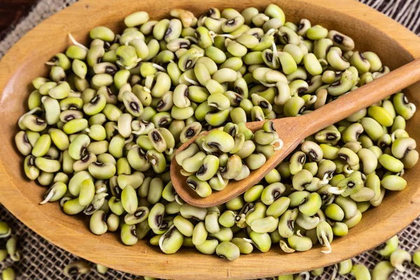 Green String Bean - typical northeastern food with dende oil.