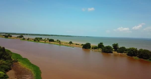 Maravilhas Amazonia Vista Alto Quanta Beleza Naturale — Video Stock