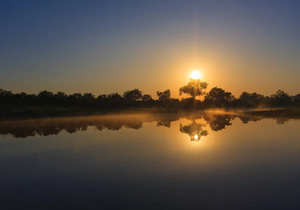 Sunrise Waters Reflection Trees Okavango Delta Botswana — Stock Photo, Image
