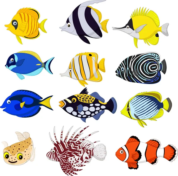 Cartoon Tropical Fish Collection Set — Stock Vector