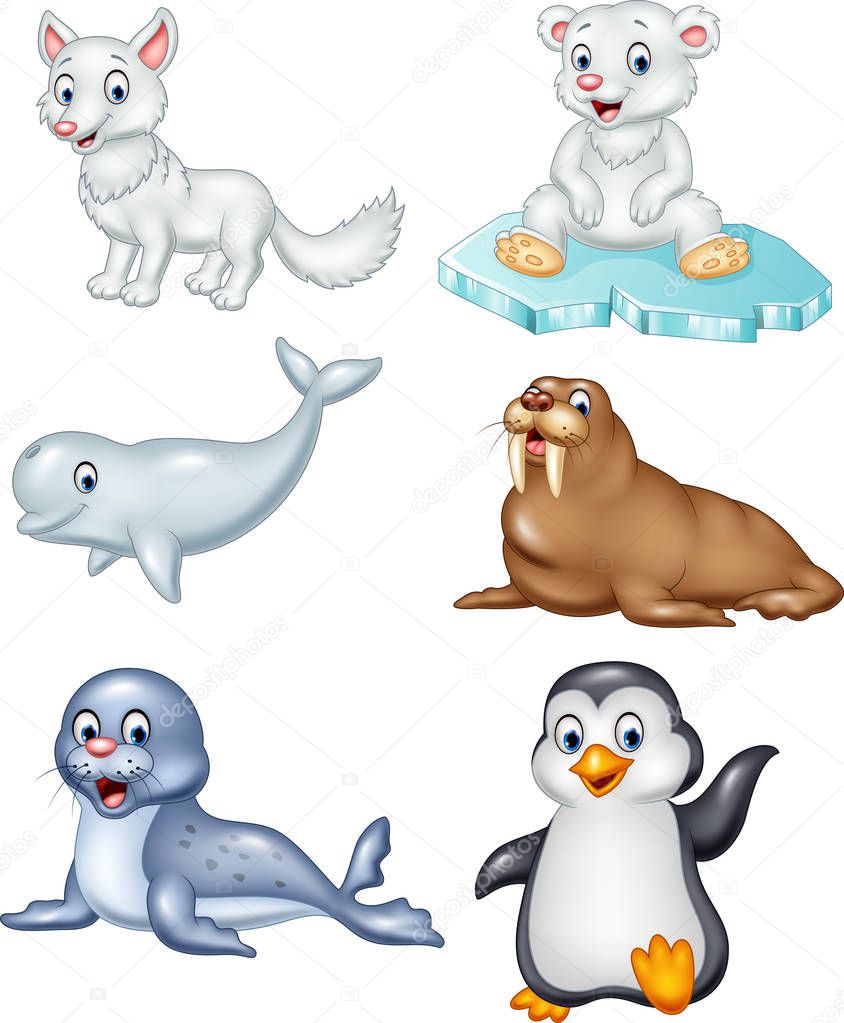 Cartoon arctic animals collection set 