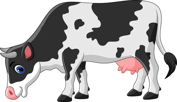 Vaca Dos Desenhos Animados Isolada Fundo Branco —  Vetores de Stock