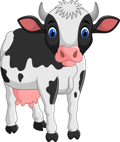 Vaca Dos Desenhos Animados Isolada Fundo Branco —  Vetores de Stock