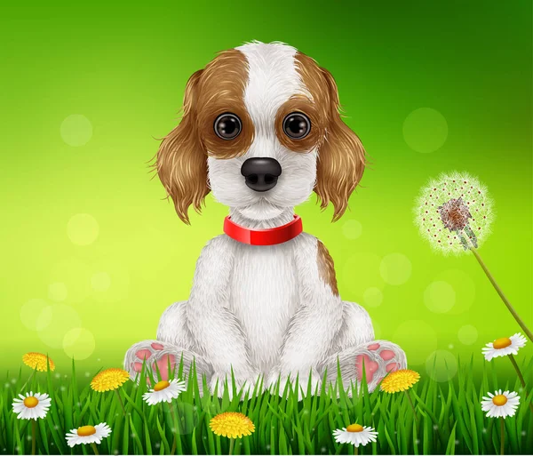 Cartoon Lustiger Hund Sitzt Auf Dem Gras — Stockvektor