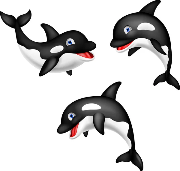 Set Raccolta Cartoon Orca — Vettoriale Stock