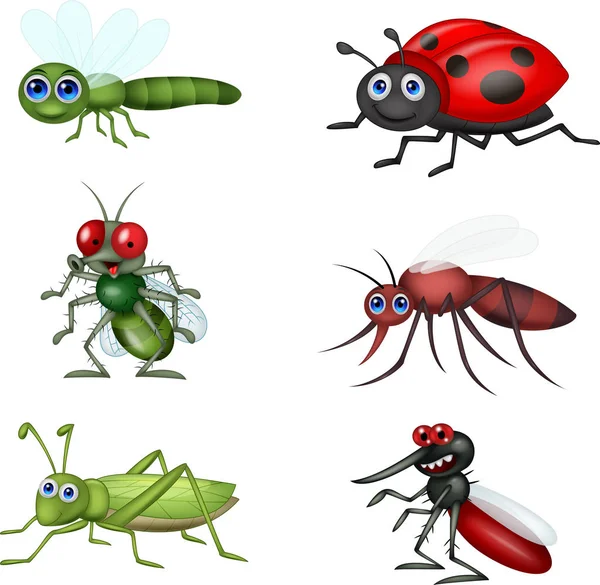 Kreslený Hmyzu Kolekce Sada — Stockový vektor