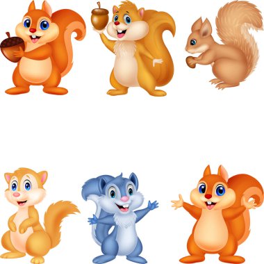 Çizgi film sincap koleksiyonu kümesi