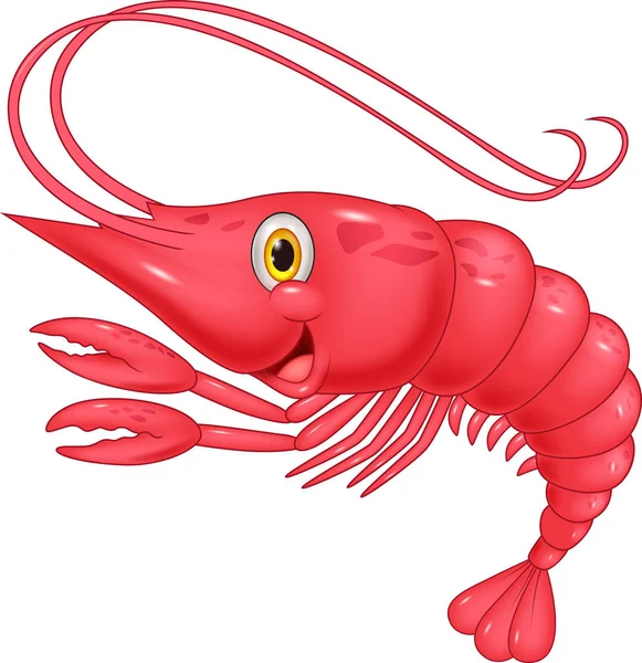 Cute Shrimp Cartoon Illustration — Stock Vector