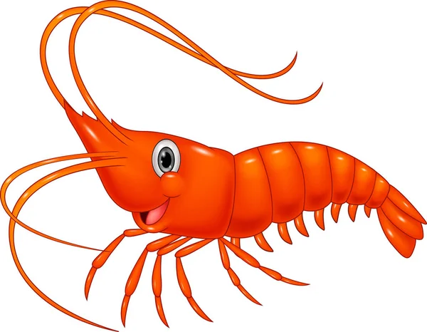 Illustration Cute Cartoon Shrimp — Stock Vector