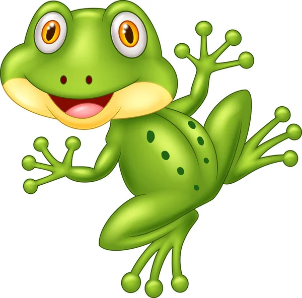 Cartoon Cute Frog Illustration — Stock Vector