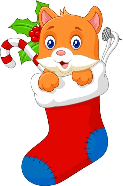 Cartoon Animal Cat Sock Christmas — Stock Vector