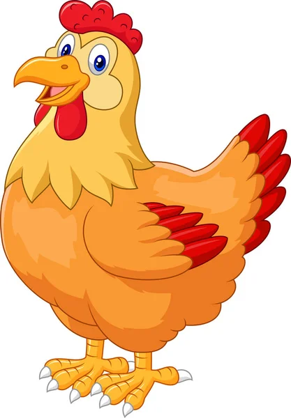 Gallina Pollo Lindo Sobre Fondo Blanco — Vector de stock