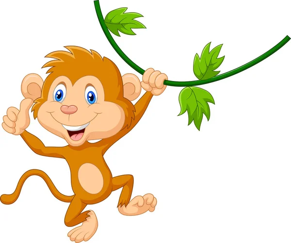 Cute Monkey Hanging Giving Thumb — Stock Vector