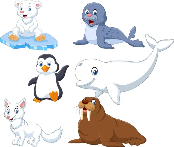 Arctics Animals Collection Set — Stock Vector