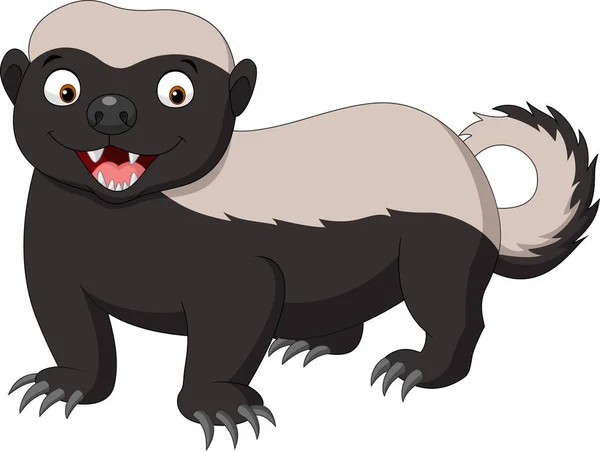 Illustration Cartoon Honey Badger — Stock Vector