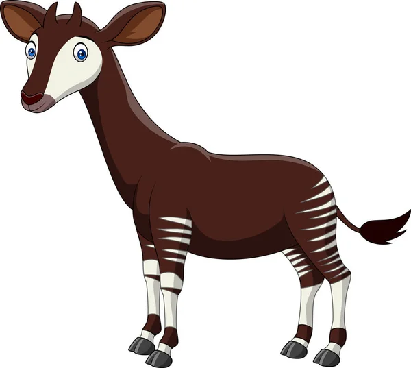 Karikatur Okapi Isoliert Auf Weißem Hintergrund — Stockvektor