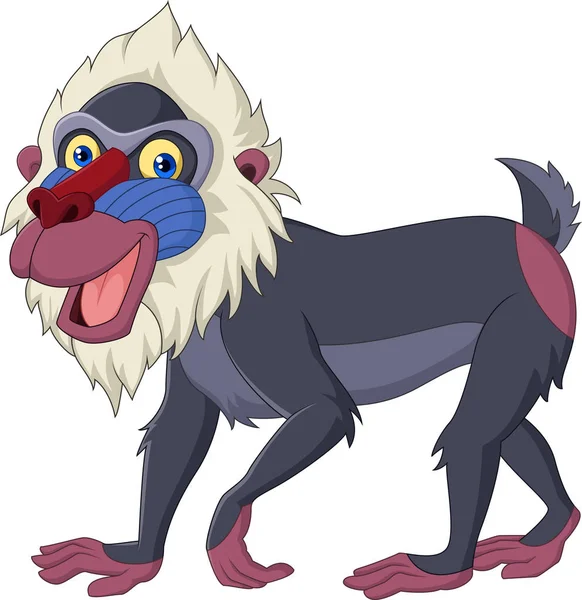 Mandrill Babuíno Desenhos Animados Isolado Fundo Branco — Vetor de Stock