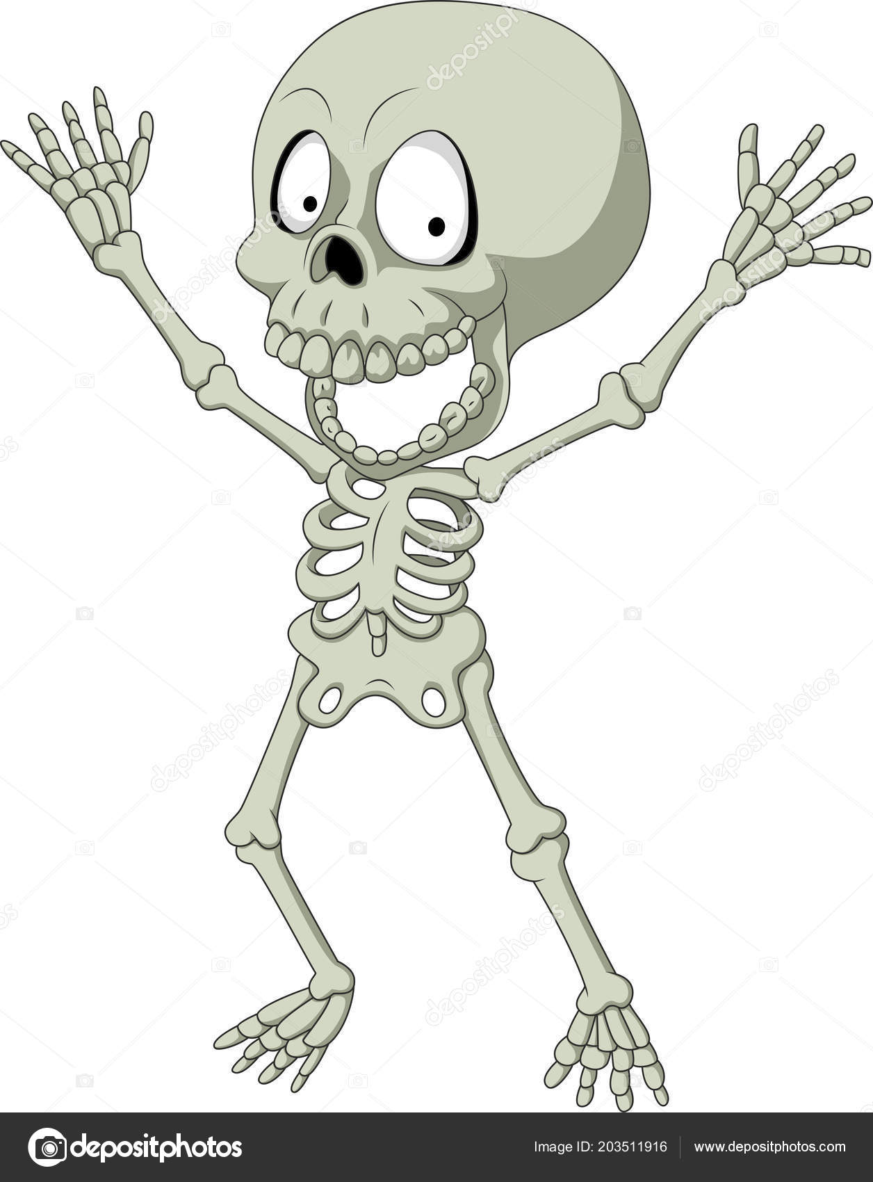 Cartoon Funny Skeleton Isolated White Background Stock Vector Image by ©tigatelu #203511916 Cartoon Funny Skeleton Isolated White Background Stock Vector Image by ©tigatelu #203511916