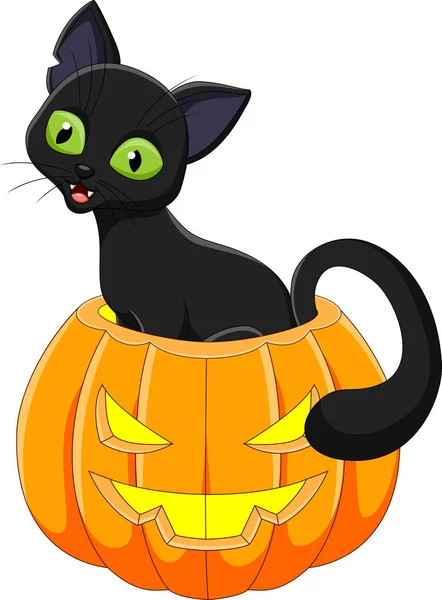 Desenhos Animados Gato Engraçado Com Abóbora Halloween — Vetor de Stock