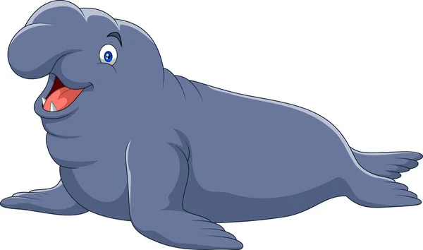 Cartoon Elephant Seal Isolated White Background — Stock Vector