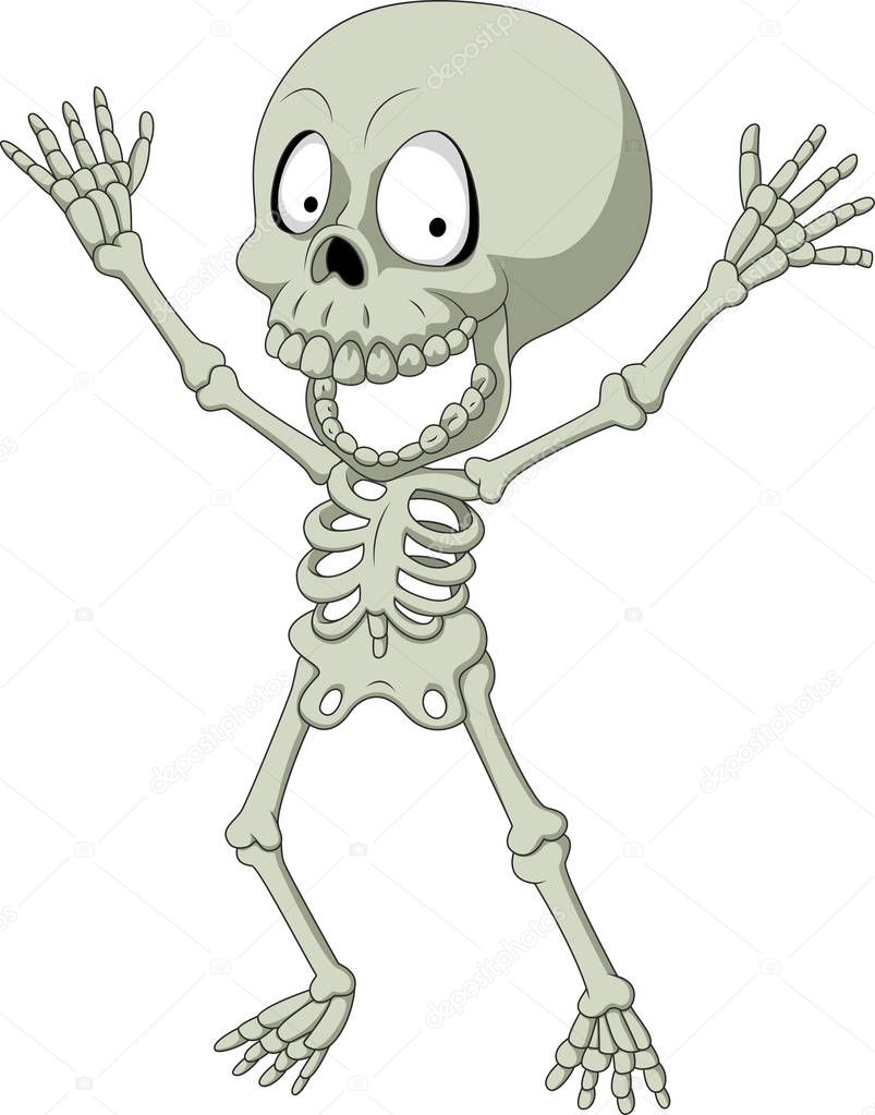 Cartoon funny skeleton isolated on white background