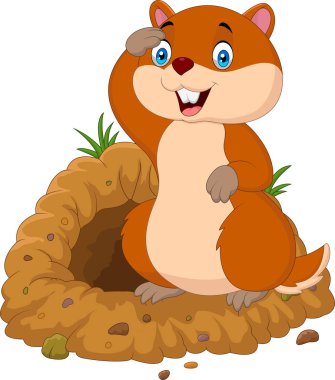 Funny cartoon groundhog in front of its burrow  clipart