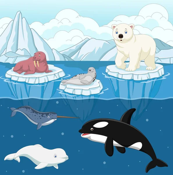 Tecknade Vilda Arktiska Djur Nordpolen — Stock vektor