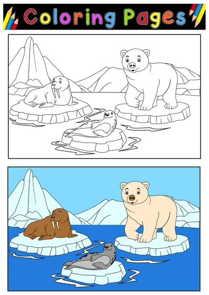 Arktická Zvířata Omalovánky — Stockový vektor