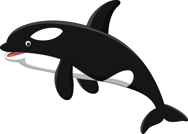 Orca de dibujos animados comic imágenes de stock de arte vectorial |  Depositphotos