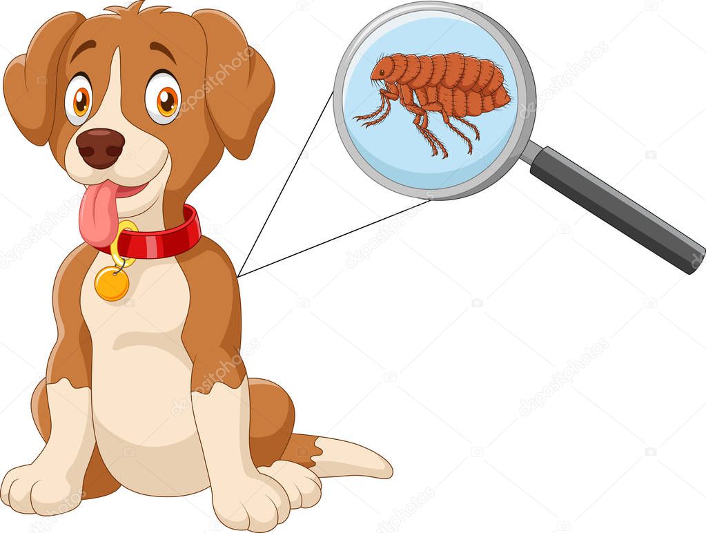 Illustration of flea Infested Dog