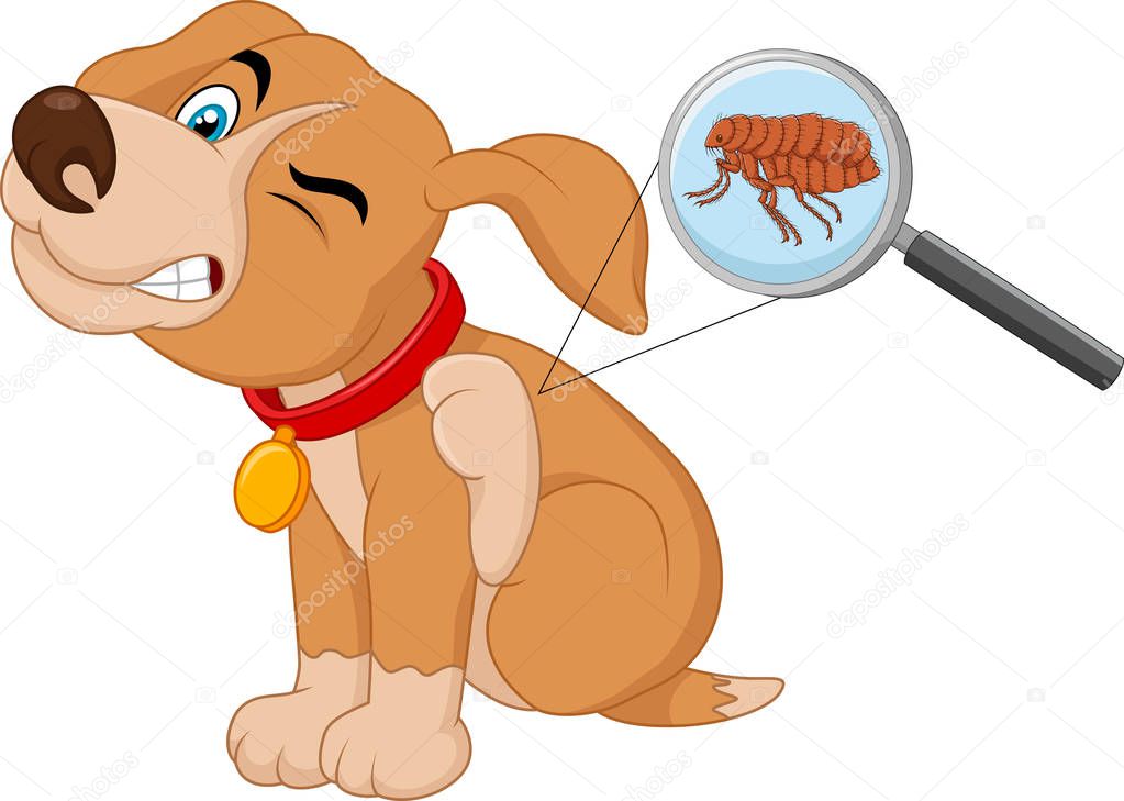 Illustration of flea Infested Dog