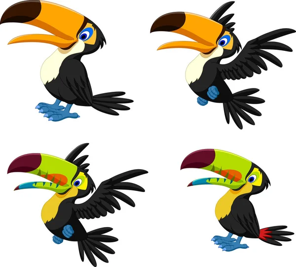 Set Raccolta Cartone Animato Toucan — Vettoriale Stock