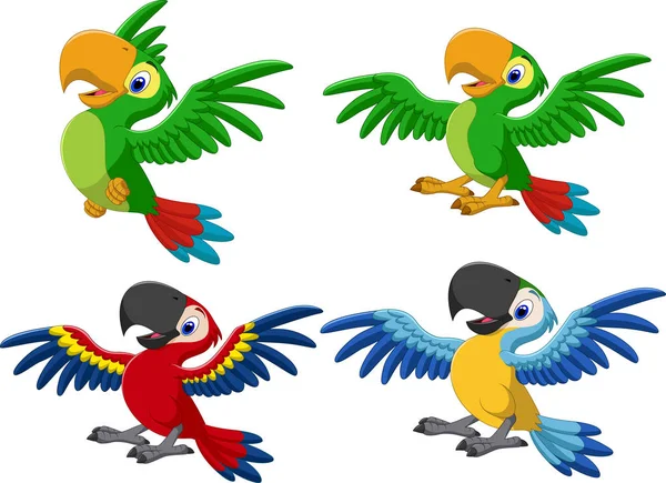 Cartoon Macaw Collection Set — Stock Vector