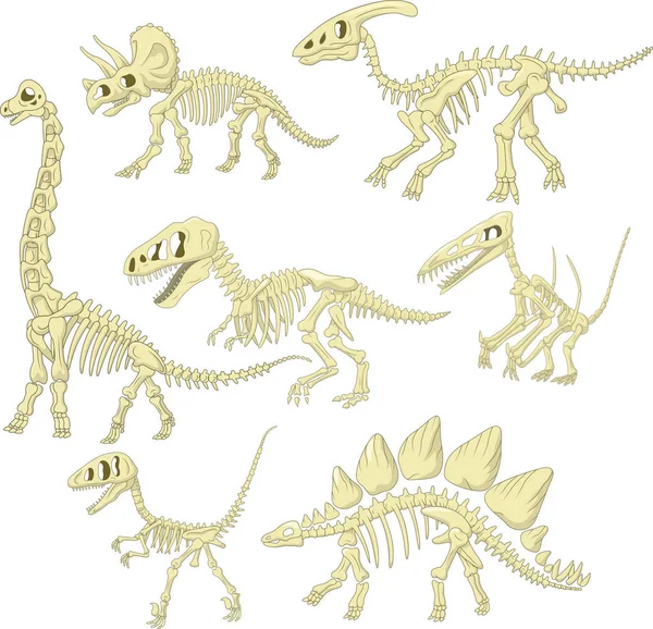 Cartoon Dinosaurs Skeleton Collection Set — Stock Vector