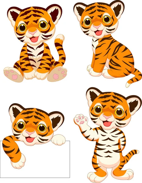 Dibujos Animados Bebé Tigre Colección Conjunto — Vector de stock