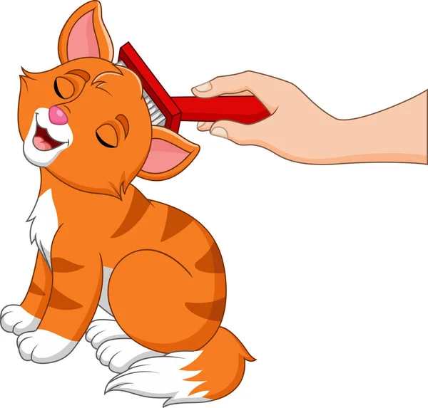 Vector Illustration Cartoon Hand Brushing Cat Comb — Stock Vector