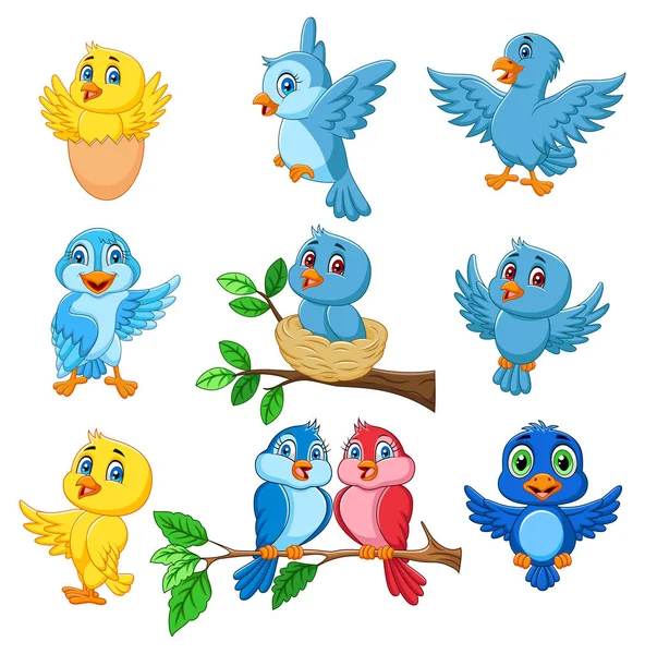 Vector Illustration Cartoon Happy Birds Collection Set — Stock Vector