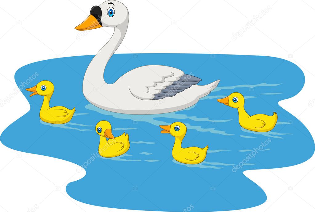 Vector illustration of Cartoon swan family swimming in the pond