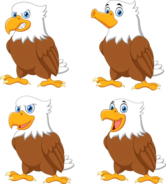 Vector Illustration Cartoon Eagles Collection Set — Stock Vector