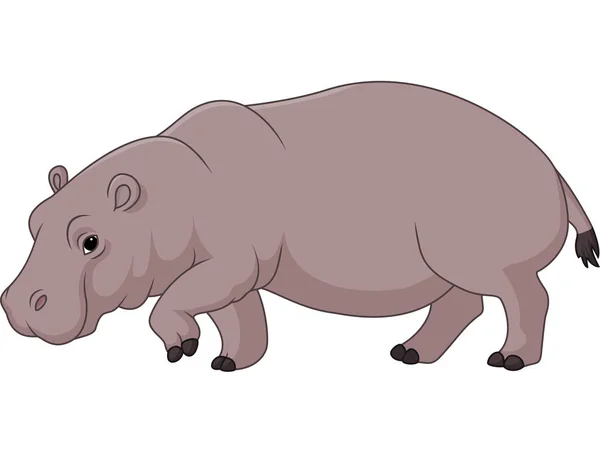 Vectorillustratie Van Grappige Hippo Cartoon Geïsoleerd Witte Achtergrond — Stockvector