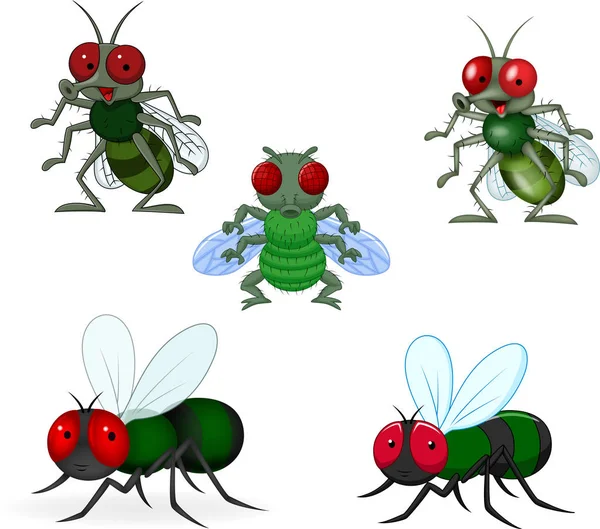 Vector Illustration Cartoon Green Fly Collection Set — Stock Vector