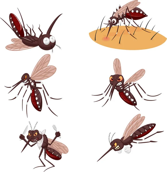 Ilustração Vetorial Conjunto Coleções Mosquitos Dos Desenhos Animados — Vetor de Stock