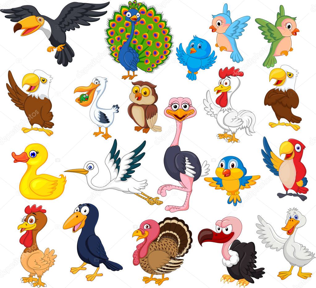 Vector illustration of Cartoon bird collection set